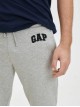 Чоловічі сірі спортивні штани від бренду GAP